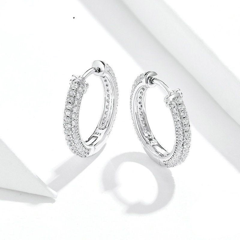 Money Magnet- Ear Hoops